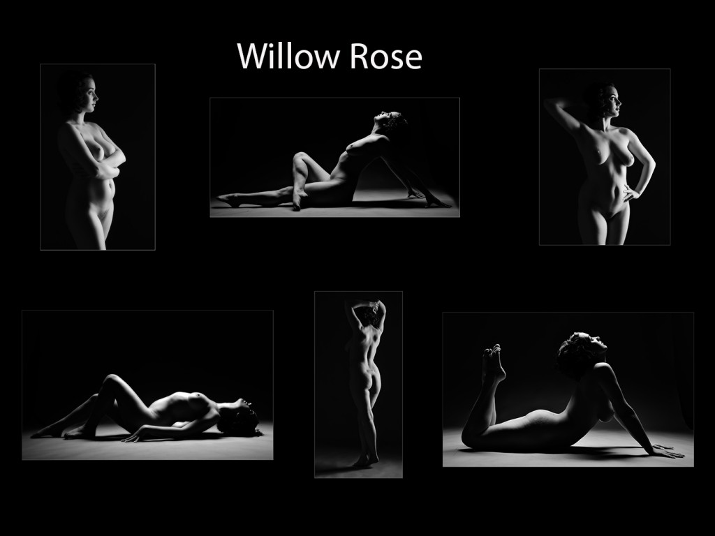The Winner - Willow Rose by Darren Wellock